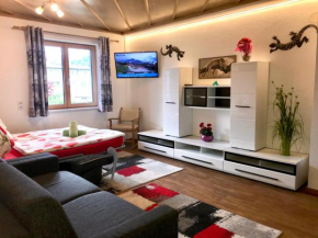 Appartment Medicus
